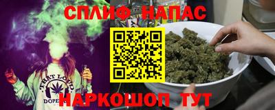 дживик Можга