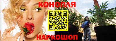 дживик Можга