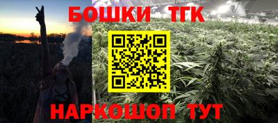 стаф Моздок