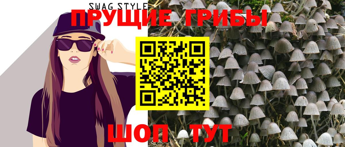 Псилоцибиновые грибы мухоморы  Вход с VPN  как найти наркотики  Тара 